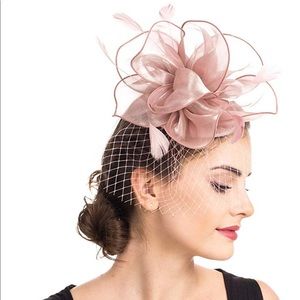 Pink Kentucky Derby Church Feather Veil Fascinator